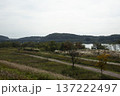 Han River bike path 137222497