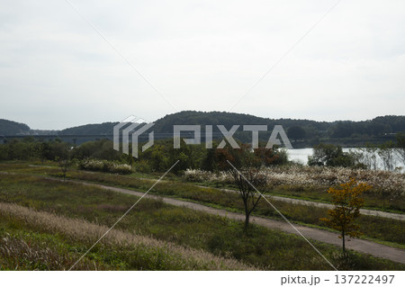 Han River bike path Han River bike path 137222497