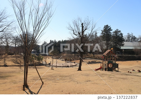 埼玉県東松山市の東松山ぼたん園の風景 137222837
