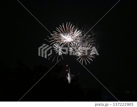 夜空を照らす白い花火 夜空を照らす白い花火 137222905