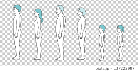 Illustration set of human body diagrams and full-body models of all generations (side and side view) Illustration set of human body diagrams and full-body models of all generations (side and side view) 137222997