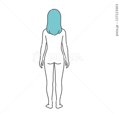 女性の人体図・全身モデルのイラスト(背面・後ろ姿) 女性の人体図・全身モデルのイラスト(背面・後ろ姿) 137223003