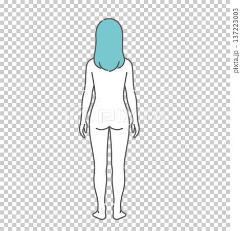 女性の人体図・全身モデルのイラスト(背面・後ろ姿) 女性の人体図・全身モデルのイラスト(背面・後ろ姿) 137223003