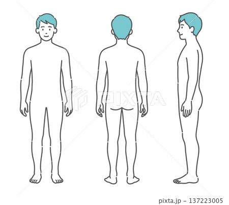 男性の人体図・全身モデルのイラストセット(正面・背面・側面) 男性の人体図・全身モデルのイラストセット(正面・背面・側面) 137223005