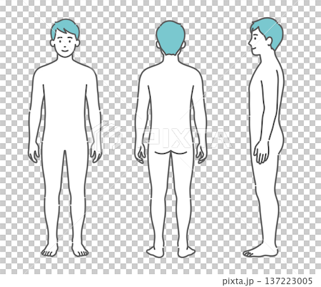 男性の人体図・全身モデルのイラストセット(正面・背面・側面) 男性の人体図・全身モデルのイラストセット(正面・背面・側面) 137223005