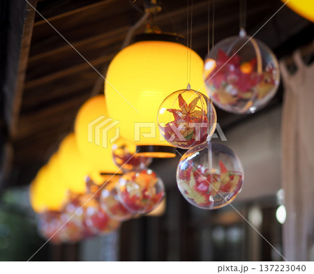 秋の深大寺の提灯 137223040