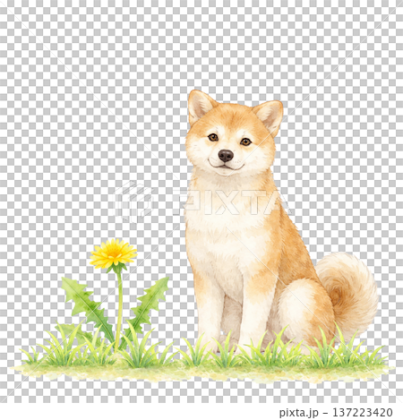 水彩風格的柴犬和蒲公英剪紙素材，可愛的春季自然插畫 137223420