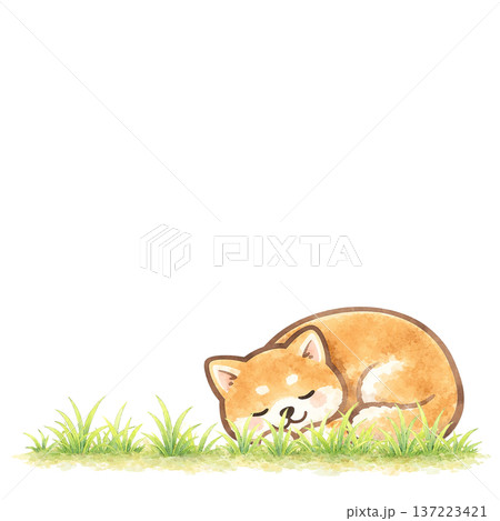 水彩風 眠る柴犬 切り抜き素材 ほのぼのナチュラルイラスト 137223421
