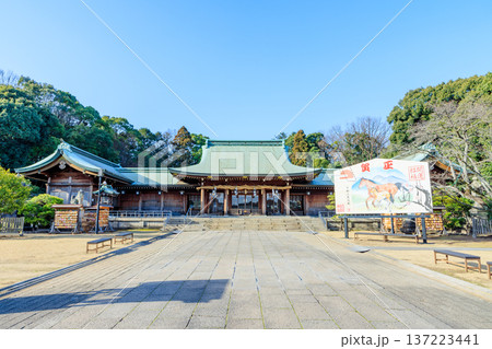 冬の大分県護国神社　大分県大分市 137223441