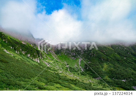 宝剣岳 千畳敷カールの絶景 宝剣岳 千畳敷カールの絶景 137224014