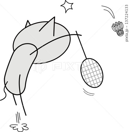 バドミントン！ジャンピングドロップする猫 137224133