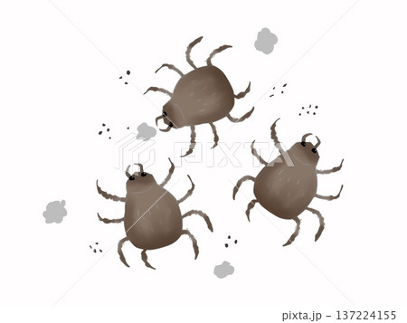 集団で走るダニ 137224155