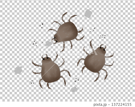集団で走るダニ 137224155