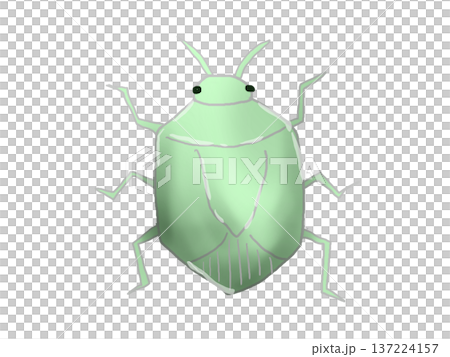 Stink bug illustration Stink bug illustration 137224157