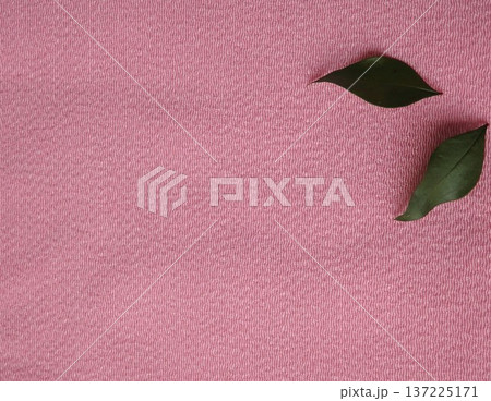 南天の葉 137225171