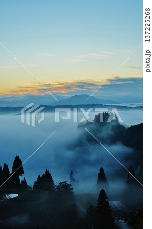 山古志棚田雲海朝焼けの夜明け 山古志棚田雲海朝焼けの夜明け 137225268