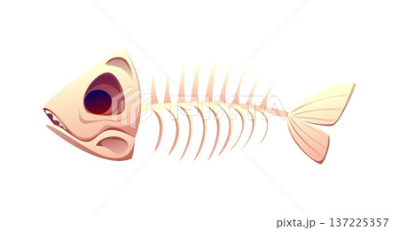 Cartoon fish bone icon, vector isolated skeleton with skull, spine, ribs and tail. Pirate fantasy bone remains sea creature anatomy, object for game asset, spooky ocean underwater skeletal structure Cartoon fish bone icon, vector isolated skeleton with skull, spine, ribs and tail. Pirate fantasy bone remains sea creature anatomy, object for game asset, spooky ocean underwater skeletal structure 137225357