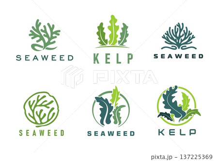 Seaweed icons of vector marine water plants. Sea, ocean and aquarium underwater nature, environment and seafood symbols. Green and blue silhouettes of spirulina, kelp, laminaria and caulerpa seaweeds Seaweed icons of vector marine water plants. Sea, ocean and aquarium underwater nature, environment and seafood symbols. Green and blue silhouettes of spirulina, kelp, laminaria and caulerpa seaweeds 137225369