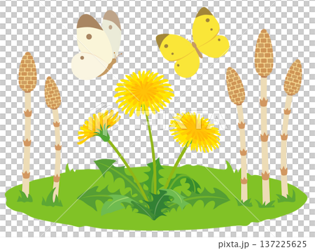 Illustration material of a spring field: Horsetail, dandelions and butterflies Illustration material of a spring field: Horsetail, dandelions and butterflies 137225625