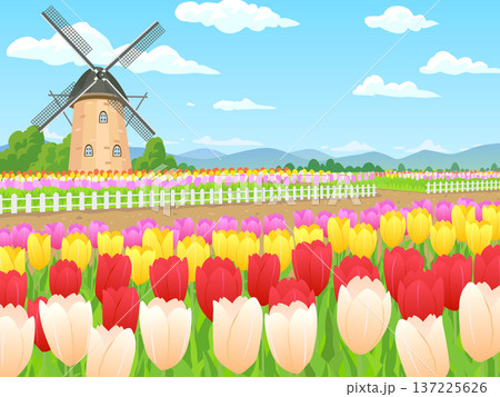風車とチューリップ畑の風景 137225626