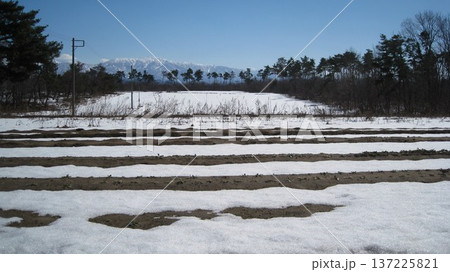 青空と雪山と残雪の畑 青空と雪山と残雪の畑 137225821