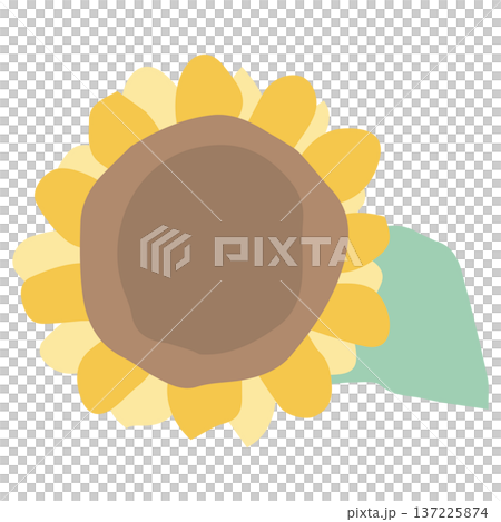 Simple hand-drawn materials series for August school newsletters | Sunflowers Simple hand-drawn materials series for August school newsletters | Sunflowers 137225874