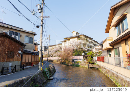 京都市白川筋 堀池橋から見た町並み 京都市白川筋 堀池橋から見た町並み 137225949