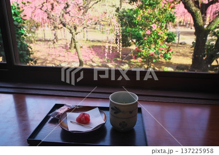 三重県津市 結城神社 眺梅亭の梅茶セットと店内からの眺め 三重県津市 結城神社 眺梅亭の梅茶セットと店内からの眺め 137225958