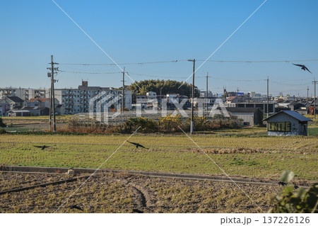 Nov 29 2025 Beautiful Osaka Prefecture View from HARUKA Express Train Nov 29 2025 Beautiful Osaka Prefecture View from HARUKA Express Train 137226126