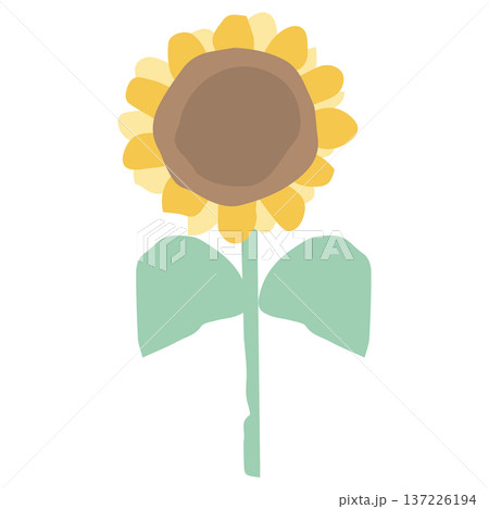 8月の園だよりに使いやすい シンプル手描き素材シリーズ｜ひまわり 137226194