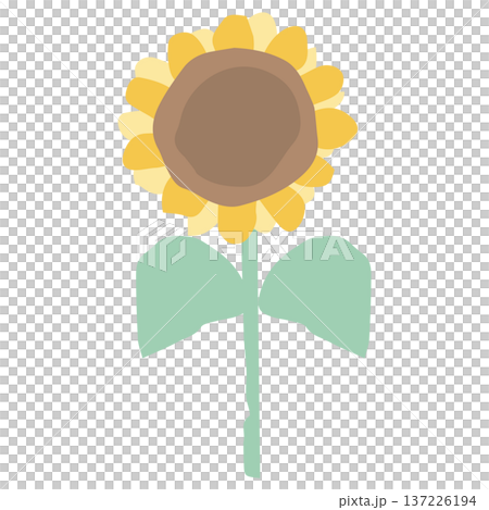 8月の園だよりに使いやすい シンプル手描き素材シリーズ｜ひまわり 137226194