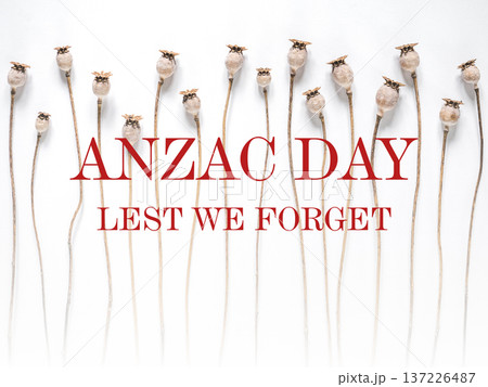 Dry poppies with bold ANZAC DAY text Dry poppies with bold ANZAC DAY text 137226487