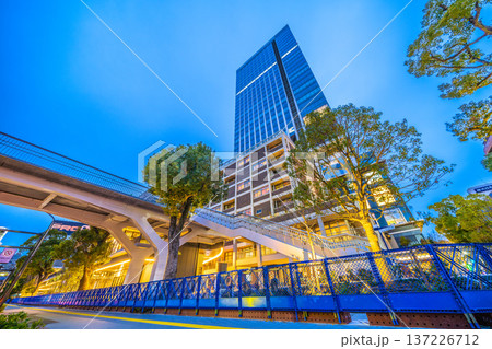 日本の横浜都市景観 ハマスタ入口側から、関内駅前のベースゲート横浜関内タワーなどを望む=3月2日 日本の横浜都市景観 ハマスタ入口側から、関内駅前のベースゲート横浜関内タワーなどを望む=3月2日 137226712