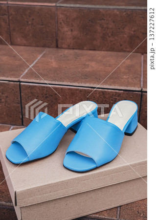 Elegant blue leather womens shoes blank product for branding displayed recyclable packaging. New casual female sneakers no-brand footwear e-commerce. No logo product unbranded fashion Elegant blue leather womens shoes blank product for branding displayed recyclable packaging. New casual female sneakers no-brand footwear e-commerce. No logo product unbranded fashion 137227612