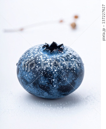 中央に配置された一粒の大粒ブルーベリー 137227627