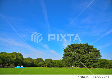 《愛知県》名古屋市 庄内緑地公園 《愛知県》名古屋市 庄内緑地公園 137227761