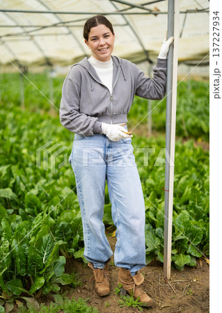 Young female farmer standing inside large agricultural greenhouse Young female farmer standing inside large agricultural greenhouse 137227934