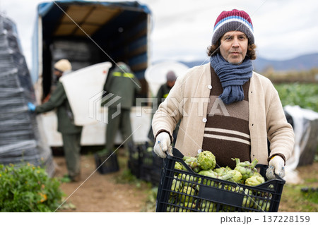 Portrait of positive male farmer holding box of ripe artichokes Portrait of positive male farmer holding box of ripe artichokes 137228159
