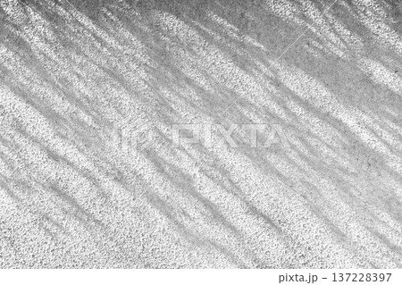 白い壁に映る木の葉の影、シルエット 137228397