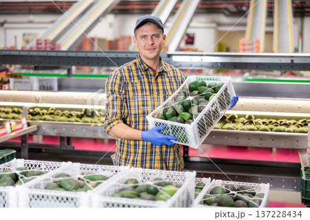 Diligent friendly worker carries boxes of avocado fruits at factory 137228434