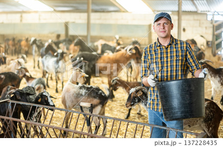 Livestock farmer carrying pail with animal feed in goat stall Livestock farmer carrying pail with animal feed in goat stall 137228435