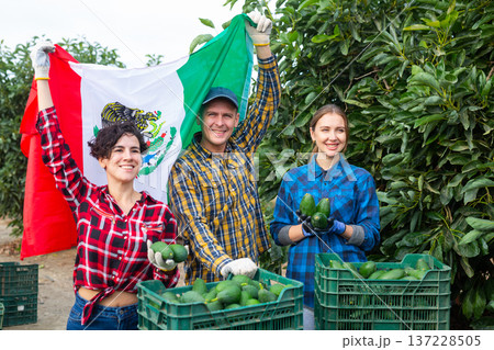 Group of happy young gardeners waving Mexican flag during avocado harvesting season in garden 137228505