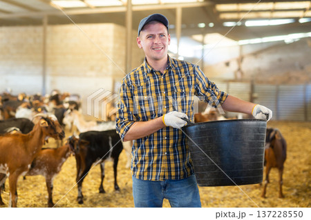 Man pouring dry food from bucket into goat feeder 137228550