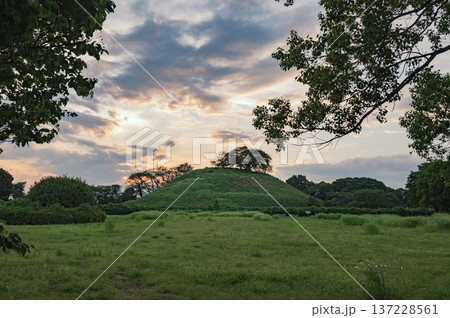 埼玉　夕暮れの丸墓山古墳（埼玉古墳群） 137228561