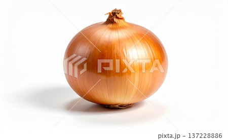 中央に配置された皮付きの玉ねぎ一つ 137228886