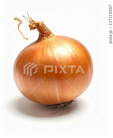 中央に配置された皮付きの玉ねぎ一つ 137228887