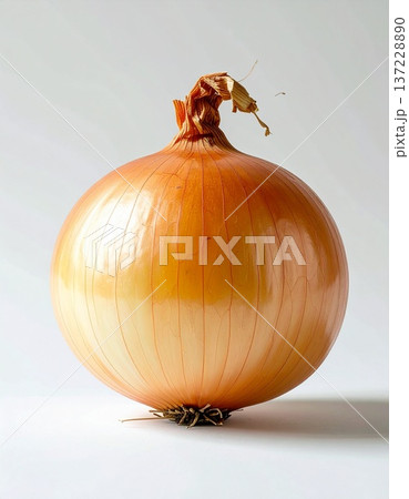 中央に配置された皮付きの玉ねぎ一つ 137228890