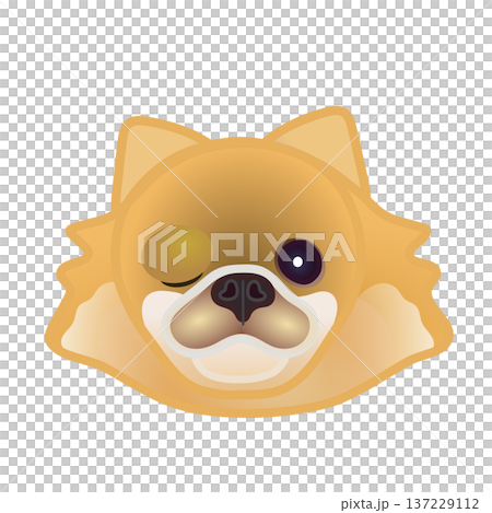 博美犬臉部插圖 博美犬臉部插圖 137229112