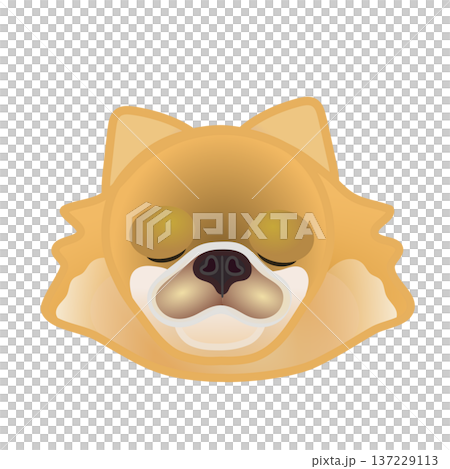 博美犬臉部插圖 博美犬臉部插圖 137229113