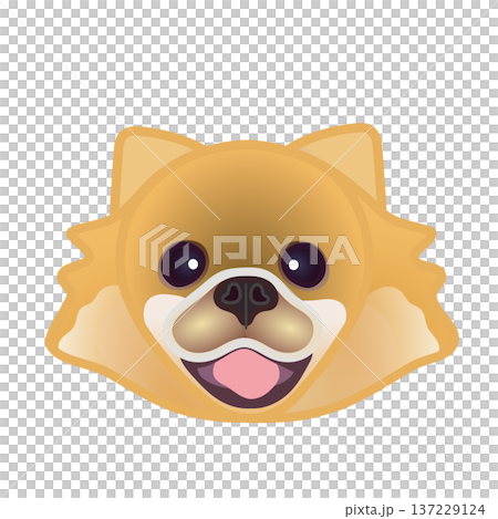 博美犬臉部插圖 博美犬臉部插圖 137229124